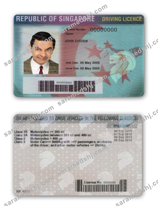 Singapore driving license